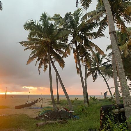Shoreline Marari Beach Villa At Golden Beach Mararikulam Alappuzha 외부 사진