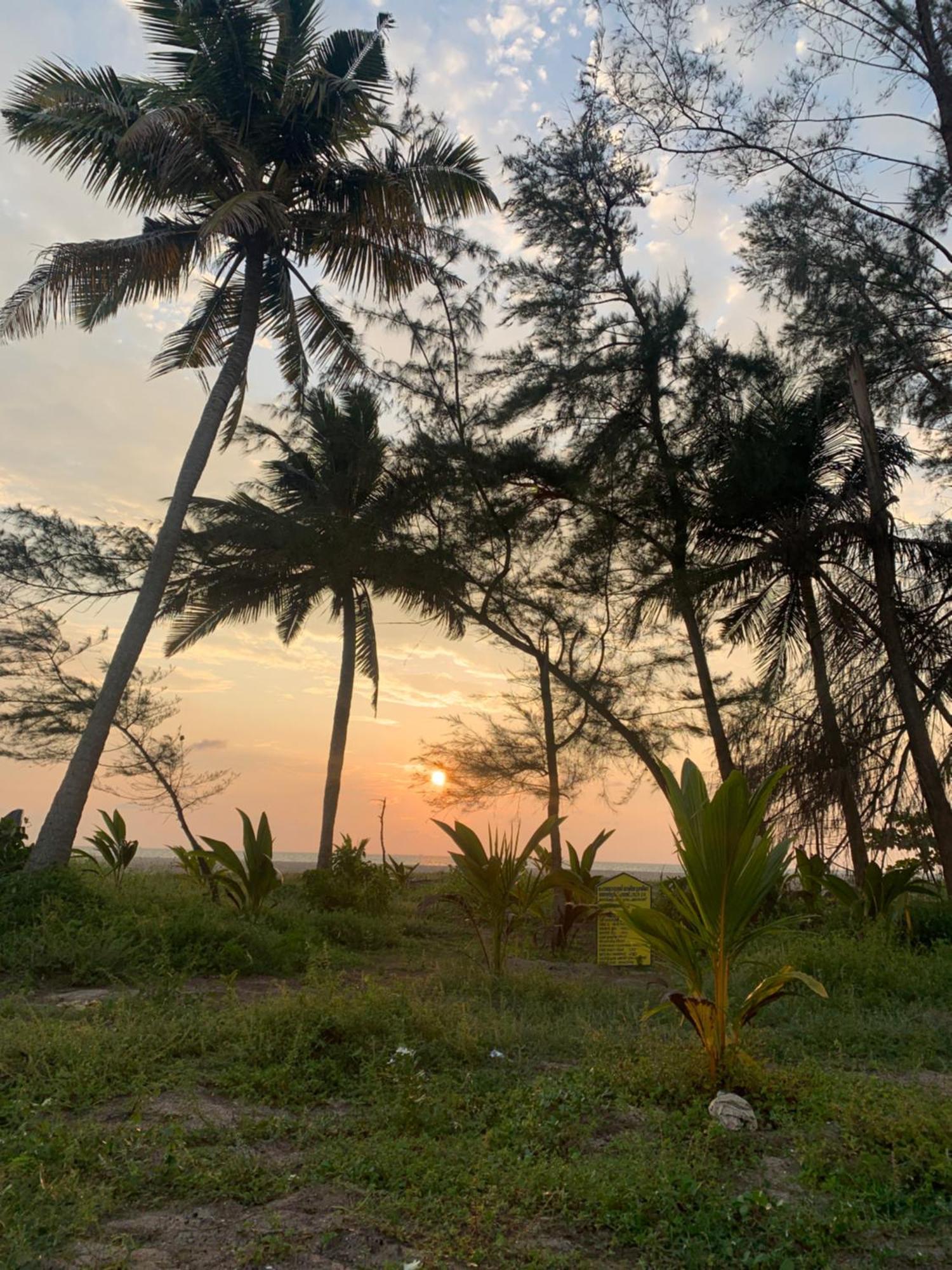 Shoreline Marari Beach Villa At Golden Beach Mararikulam Alappuzha 외부 사진