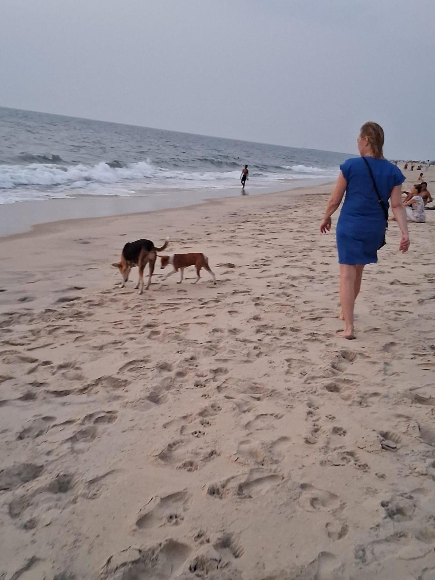 Shoreline Marari Beach Villa At Golden Beach Mararikulam Alappuzha 외부 사진