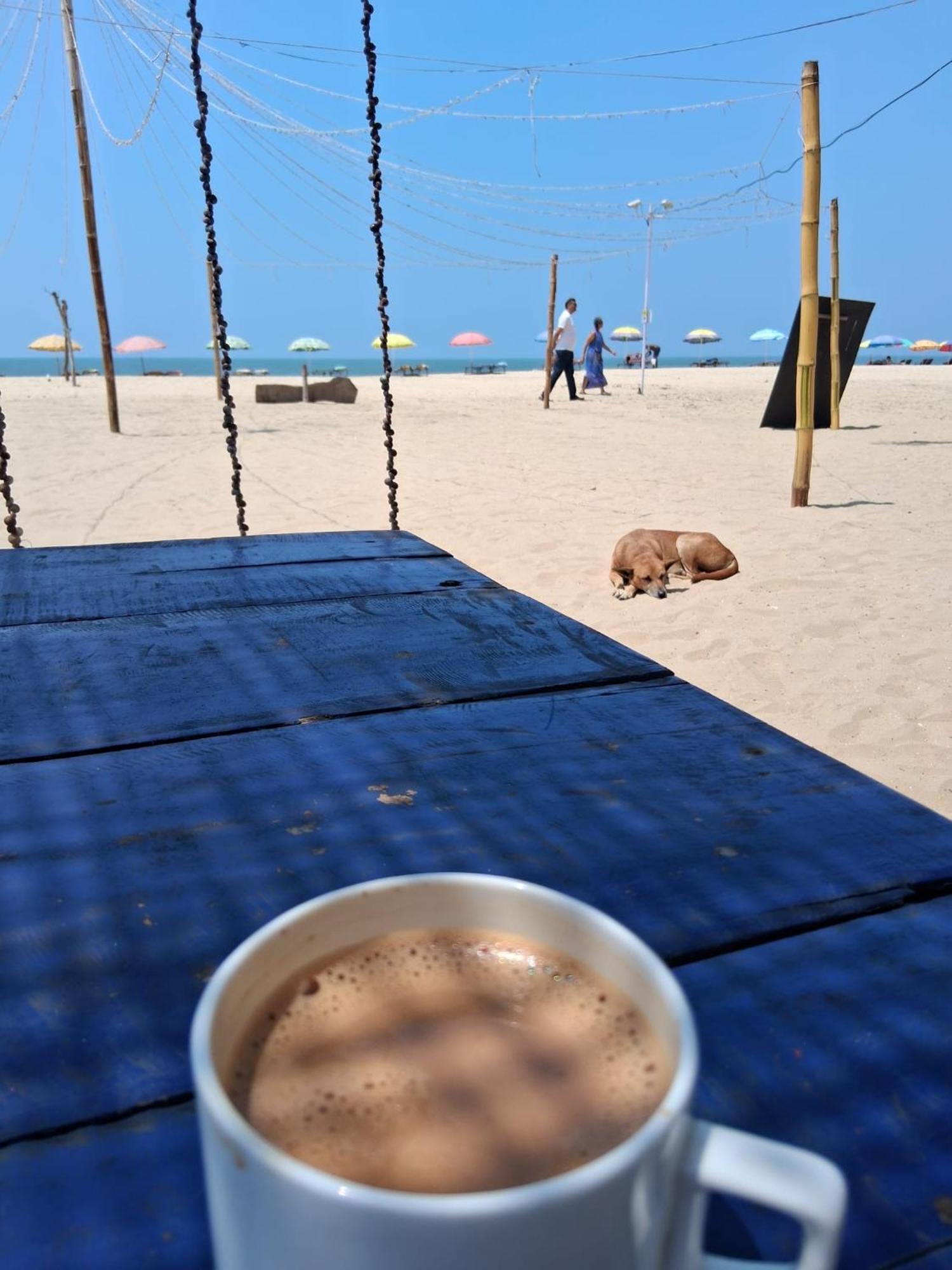 Shoreline Marari Beach Villa At Golden Beach Mararikulam Alappuzha 외부 사진